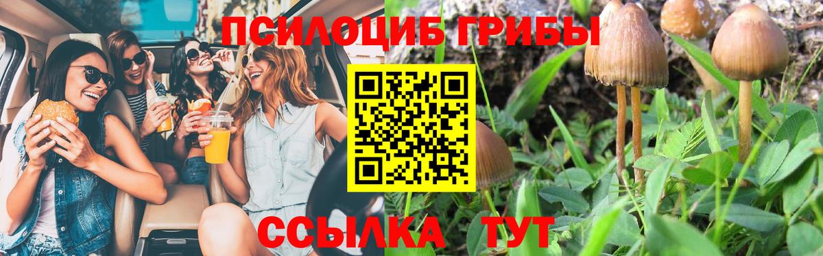 Туймазы  Галлюциногенные грибы GOLDEN TEACHER  Псилоцибиновые грибы ЛСД  наркотики  Вход с VPN 